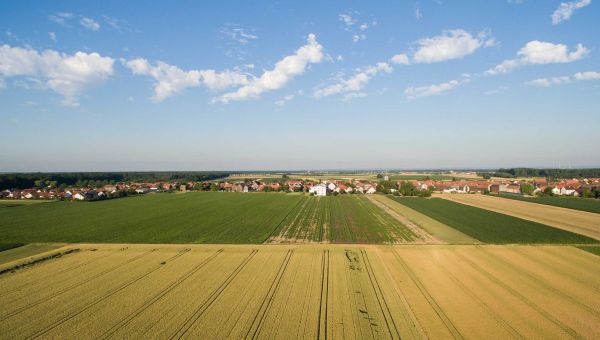 Probe To Go - Die etwas andere Musikstunde am Freitag, 13.08.2021